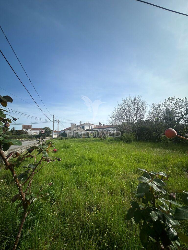 Terreno urbano de 785 m² com ruína de 74 m² e licença de habitação em bom sucesso, aradas, aveiro – potencial para construção de dois imóveis