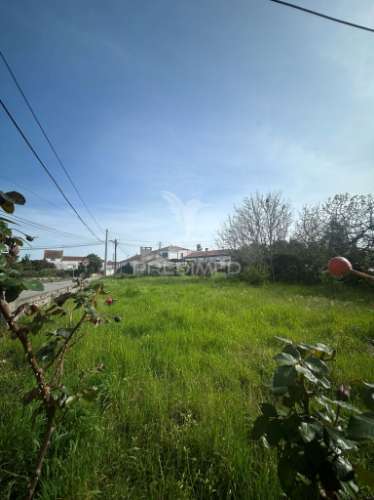Terreno urbano de 785 m² com ruína de 74 m² e licença de habitação em bom sucesso, aradas, aveiro – potencial para construção de dois imóveis