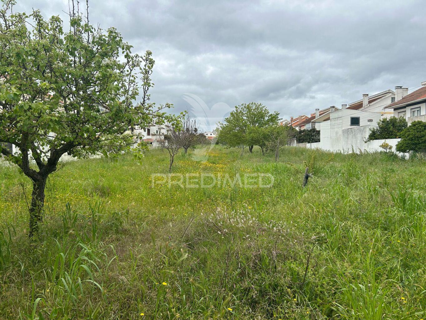 Terreno urbano de 1928m2 nos casais novos (alenquer)