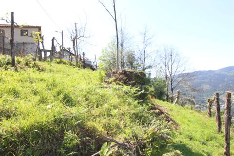 Moradia t2 para restauro em cova, vieira do minho
