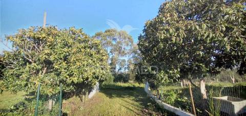 Monte alantejano com 3 habitações e piscina