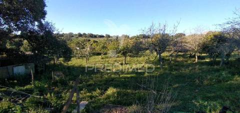 Monte alantejano com 3 habitações e piscina