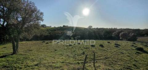 Monte alantejano com 3 habitações e piscina