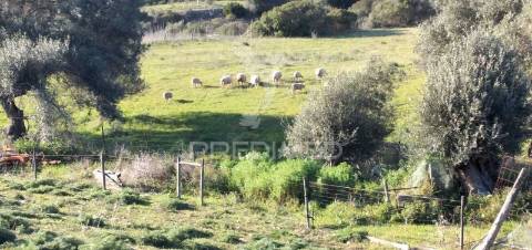 Monte alantejano com 3 habitações e piscina