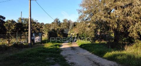 Monte alantejano com 3 habitações e piscina