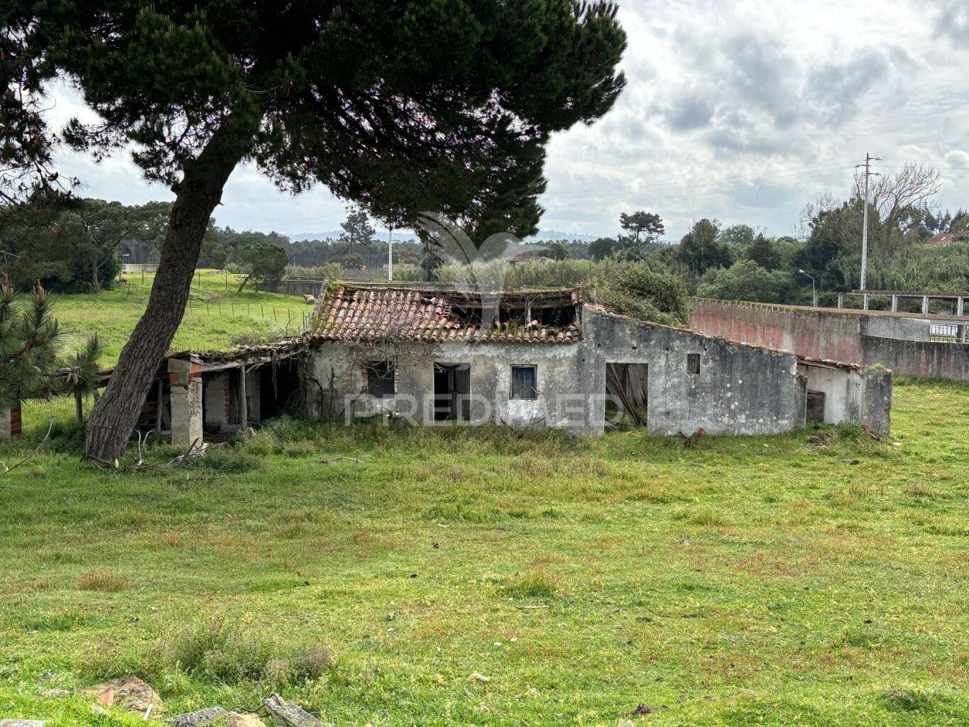 Terreno 4641m2 serra do bouro, caldas da rainha