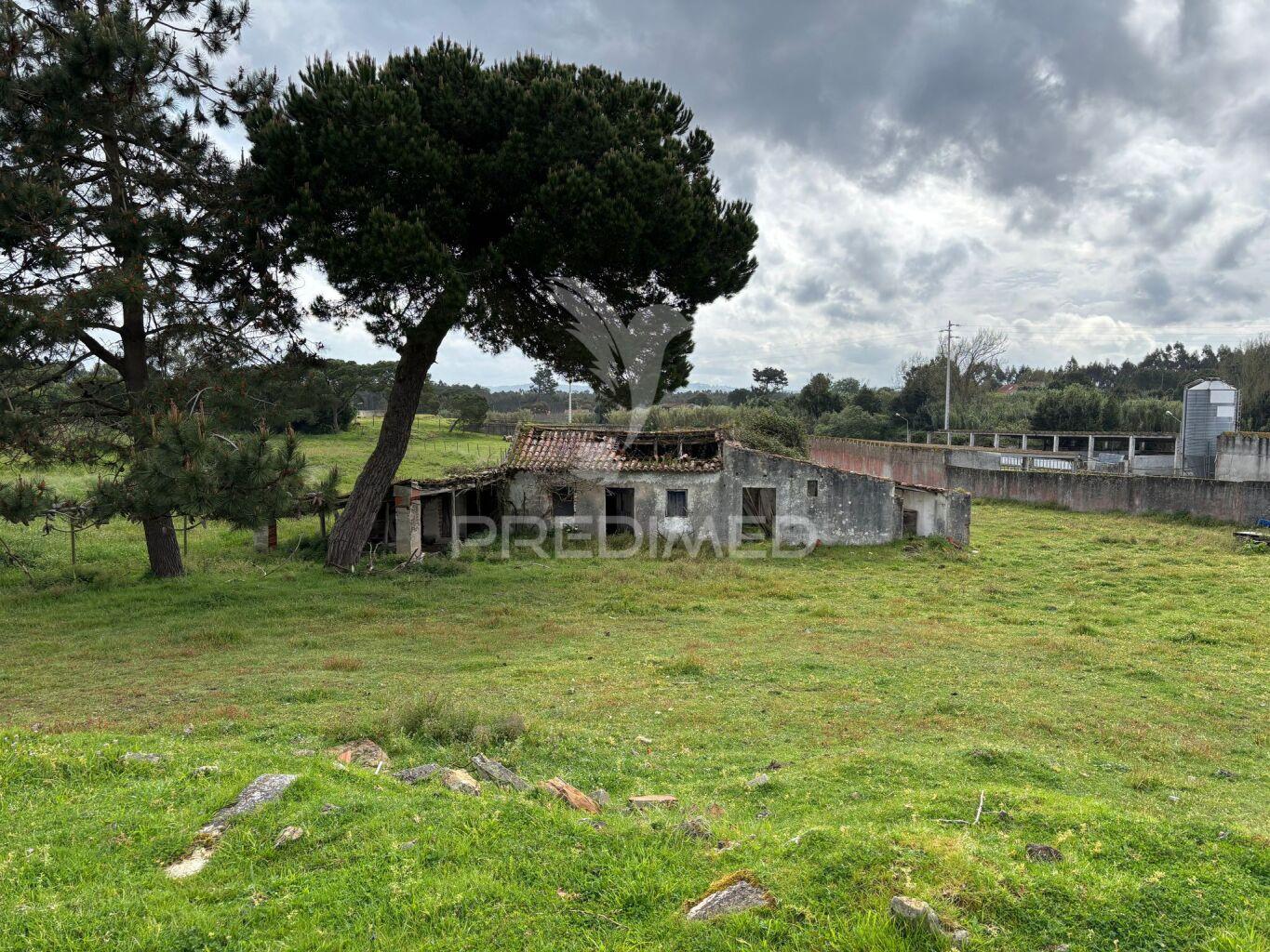 Terreno 4641m2 serra do bouro, caldas da rainha
