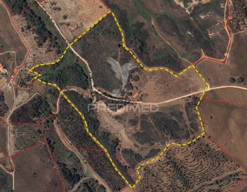 Monte alentejano com 17ha, odemira