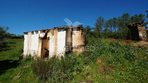 Terreno com 1.3 hectares e ruína em são martinho das amoreiras