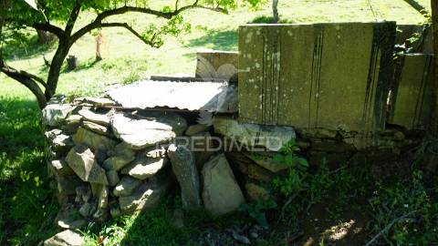 Terreno com 1.3 hectares e ruína em são martinho das amoreiras