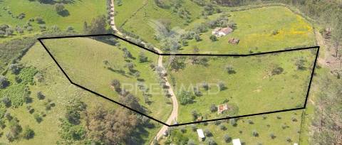Terreno com 1.3 hectares e ruína em são martinho das amoreiras