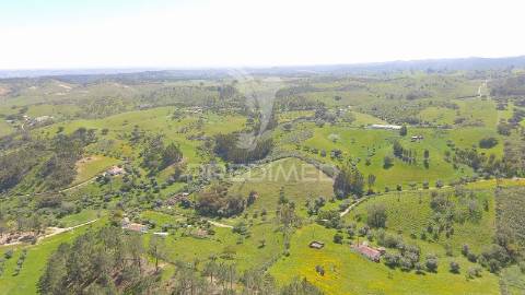 Terreno com 1.3 hectares e ruína em são martinho das amoreiras