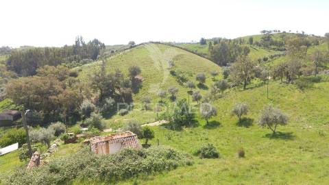 Terreno com 1.3 hectares e ruína em são martinho das amoreiras