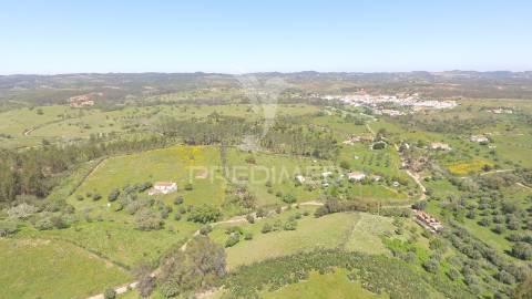 Terreno com 1.3 hectares e ruína em são martinho das amoreiras