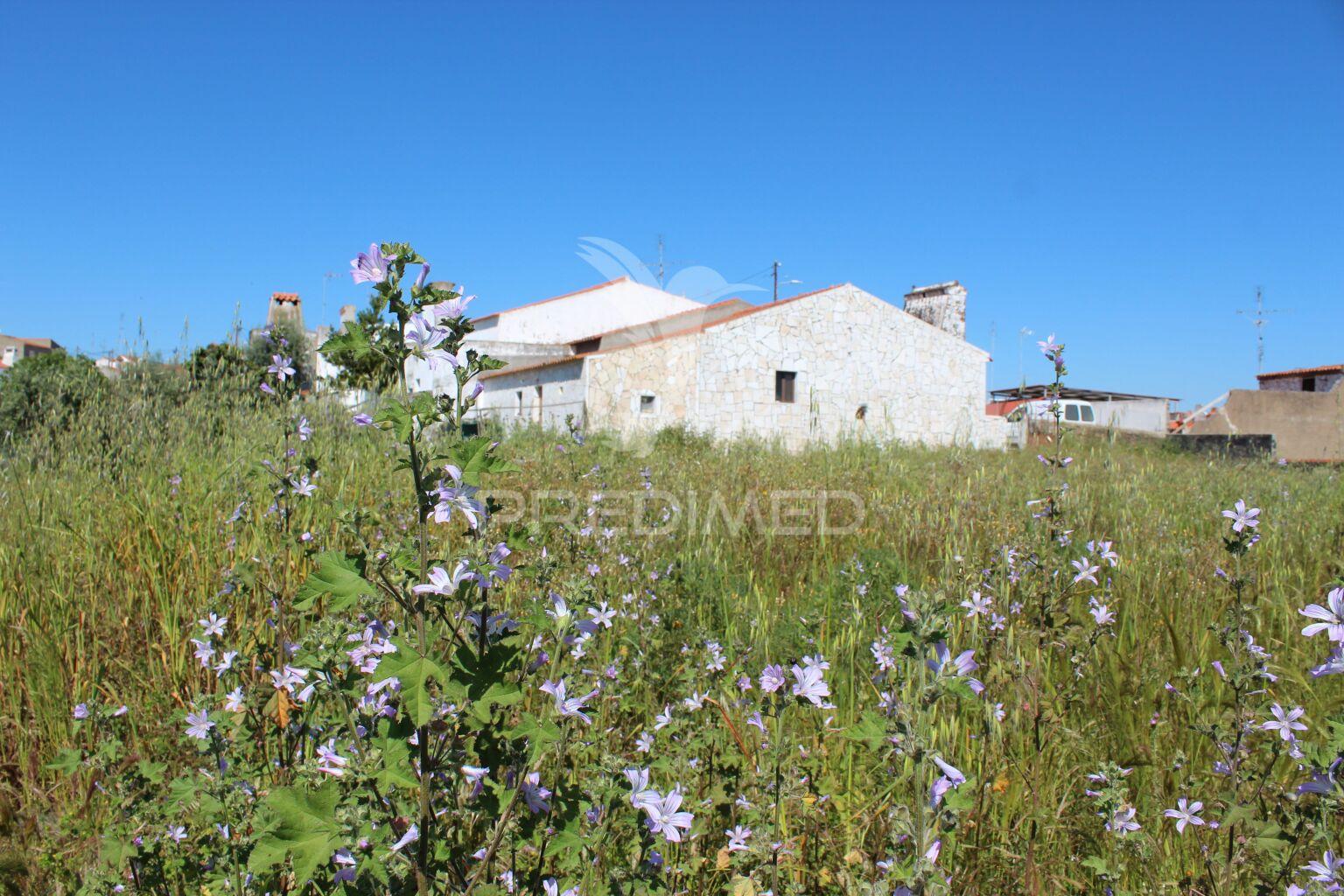 Quinta