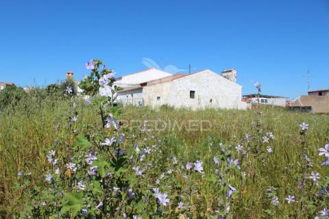 Quinta