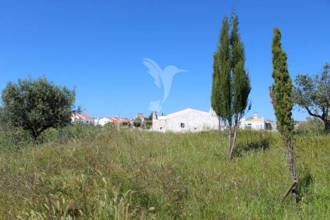 Quinta