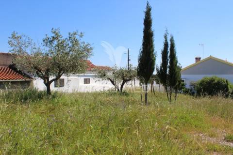 Quinta