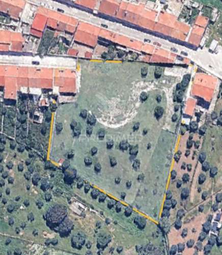 Quinta