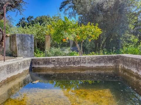 Moradia t2 térrea em são pedro da gafanhoeira - alentejo