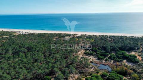 Terreno com 31.5ha com 500 metros de frente de praia