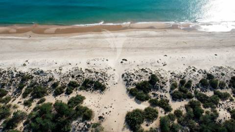 Terreno com 31.5ha com 500 metros de frente de praia