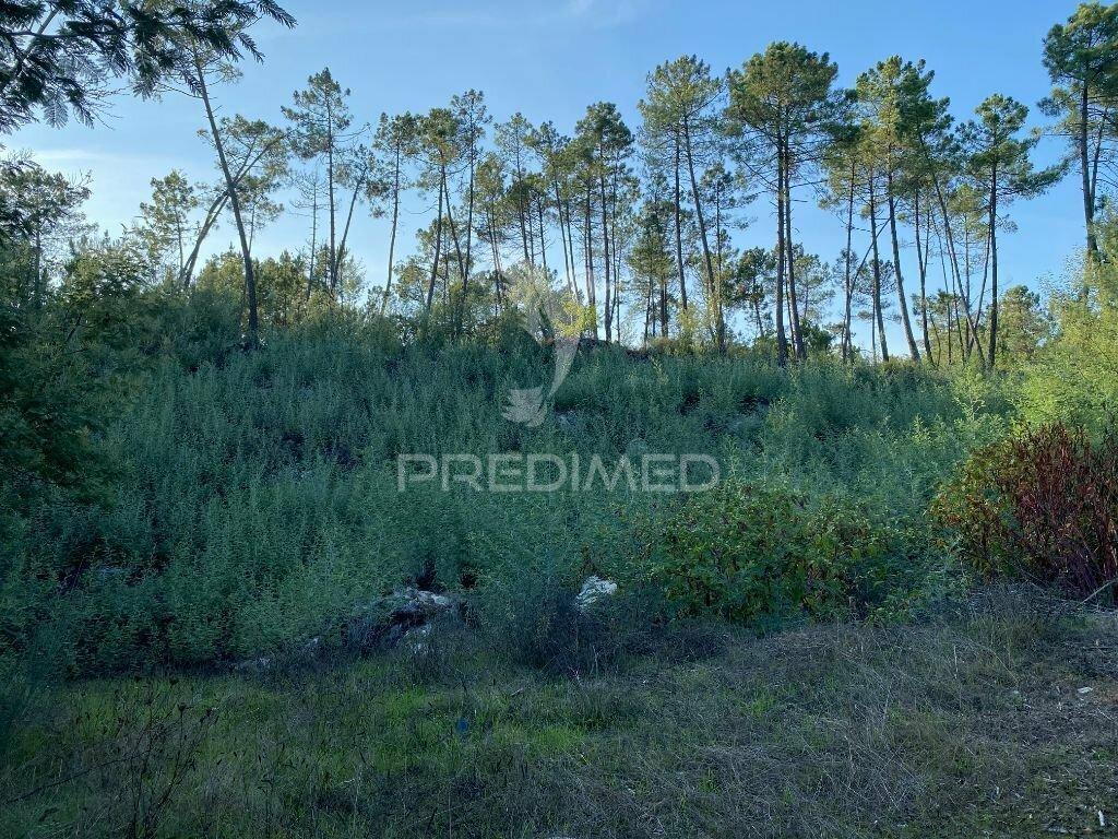 Terreno para construção de moradia isolada
