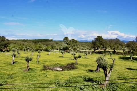 Moradia em vale do peso