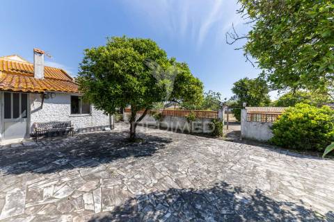 Quinta com terreno de 6500m2 no barreiro