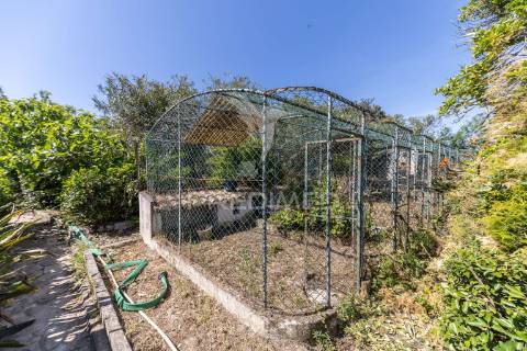Quinta com terreno de 6500m2 no barreiro