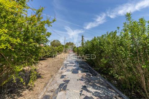 Quinta com terreno de 6500m2 no barreiro