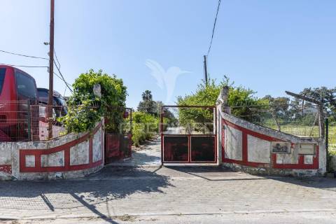 Quinta com terreno de 6500m2 no barreiro
