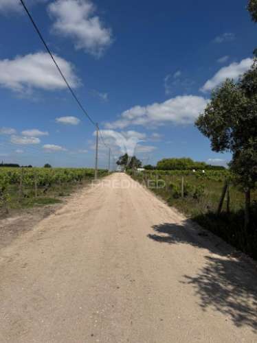 Terreno com excelente localização com possibilidade de construção