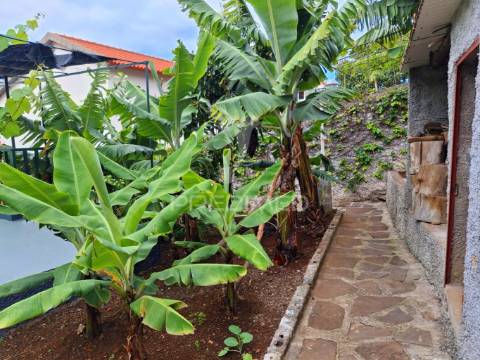 Moradia funchal