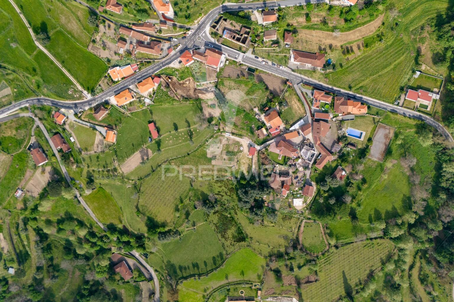 Quinta