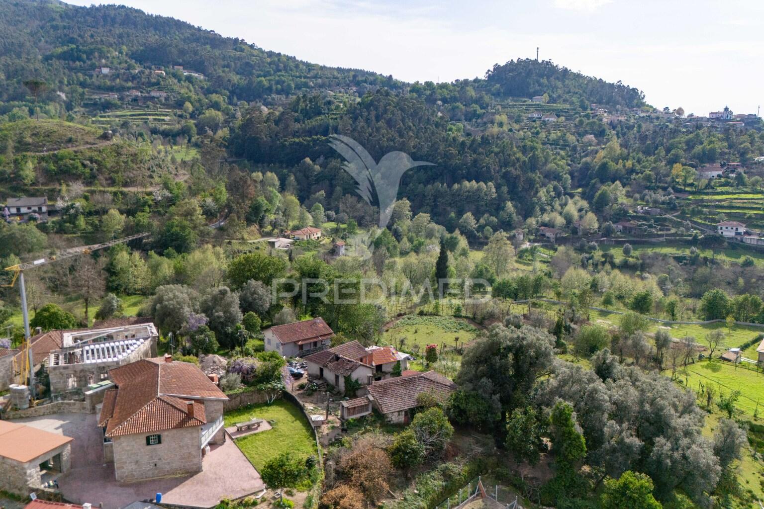 Quinta