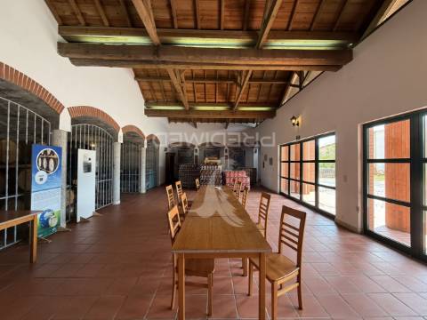 Armazéns c/ 4ha, zona industrial de ourém