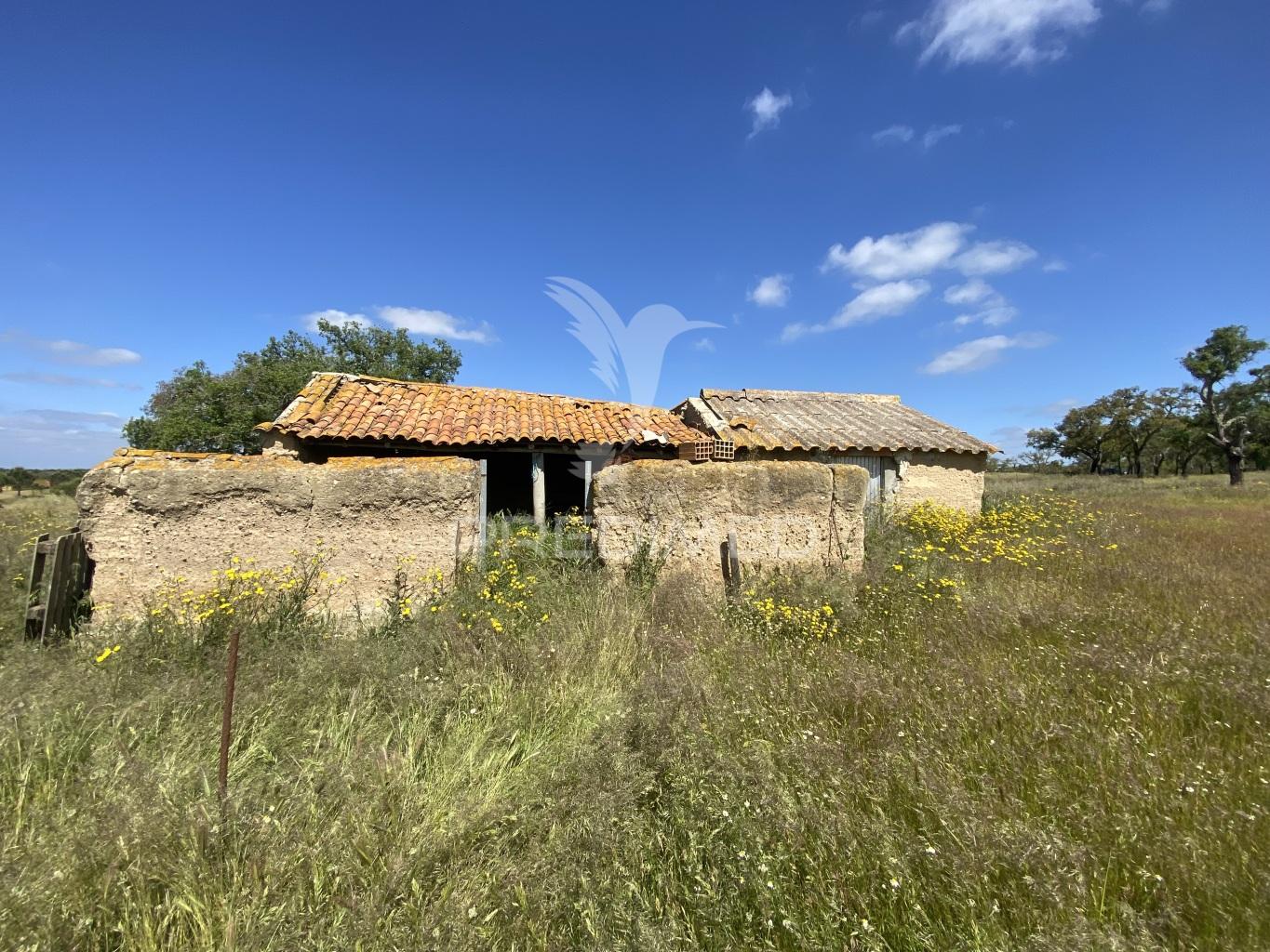 Herdade com ruína para reconstruir