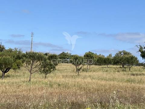Herdade com ruína para reconstruir