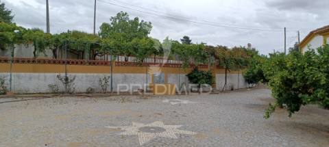 Quinta em portalegre