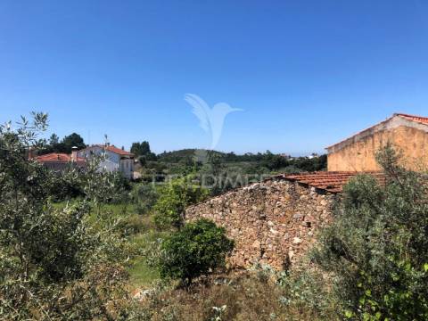 Oportunidade perto de vila de rei