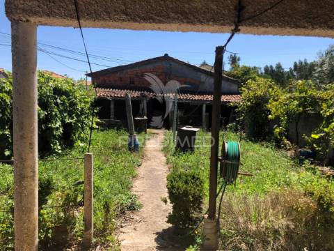 Oportunidade perto de vila de rei