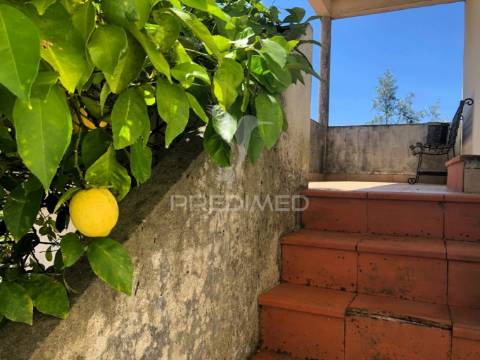 Oportunidade perto de vila de rei