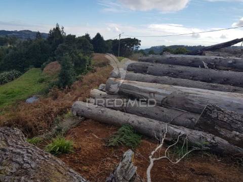 Terreno urbano no santo da serra