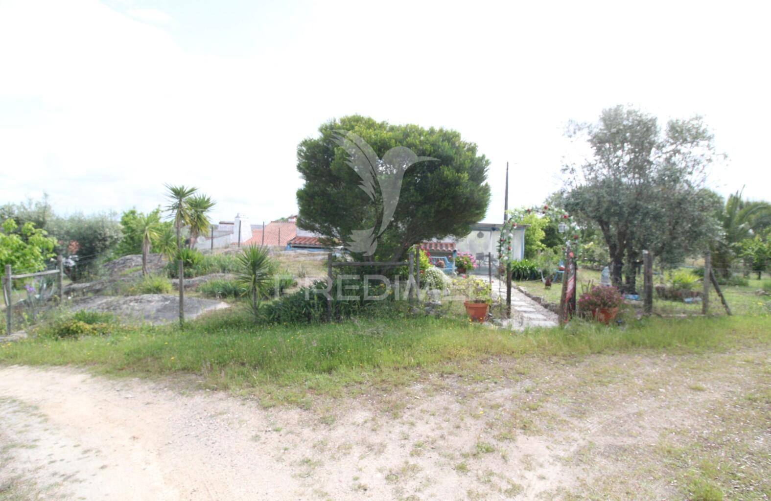 Monte do zambujeiro, bardeiras