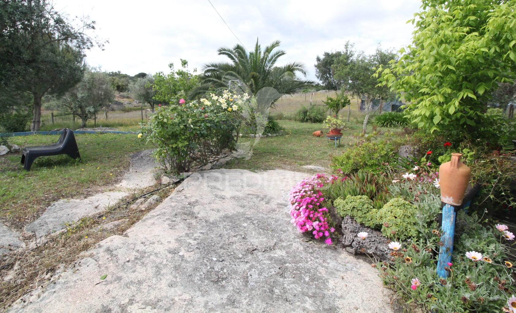 Monte do zambujeiro, bardeiras