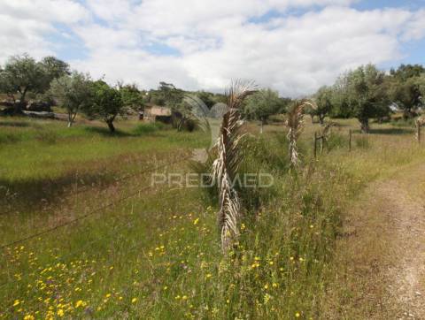 Monte do zambujeiro, bardeiras
