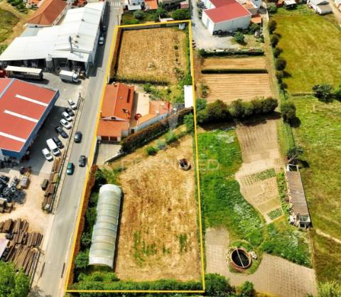 Moradia t4 e terreno com 4087 m2