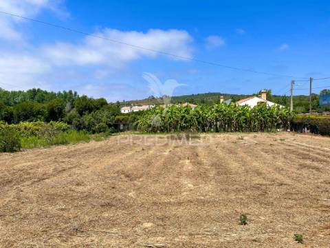 Moradia t4 e terreno com 4087 m2