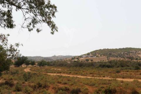 Quinta junto ao guadiana, 357ha, com ruínas com 1623m2